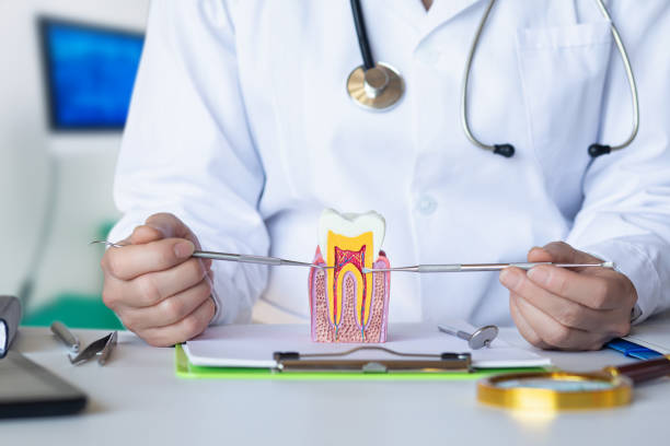 Best Broken or Chipped Tooth Repair in Shrub Oak, NY